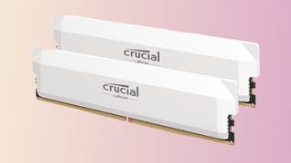 This trendy and speedy 32GB Crucial Pro DDR5-6000 RAM kit is better than half price