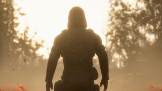 Stalker 2 promo image showing a lone figure walking through a field of flowers